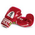 BGD-2056 Перчатки боксерские DRAGON красные